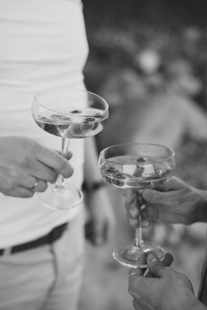 Stylish black and white view of two people toasting with champagne glasses, capturing sophistication.